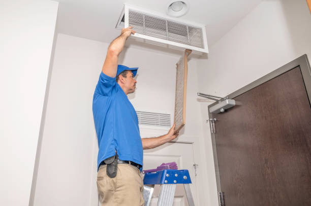 Air Duct Mold Removal in Lake Zurich, IL